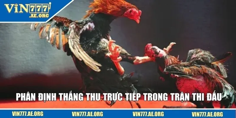Phân định thắng thu trực tiếp trong trận thi đấu
